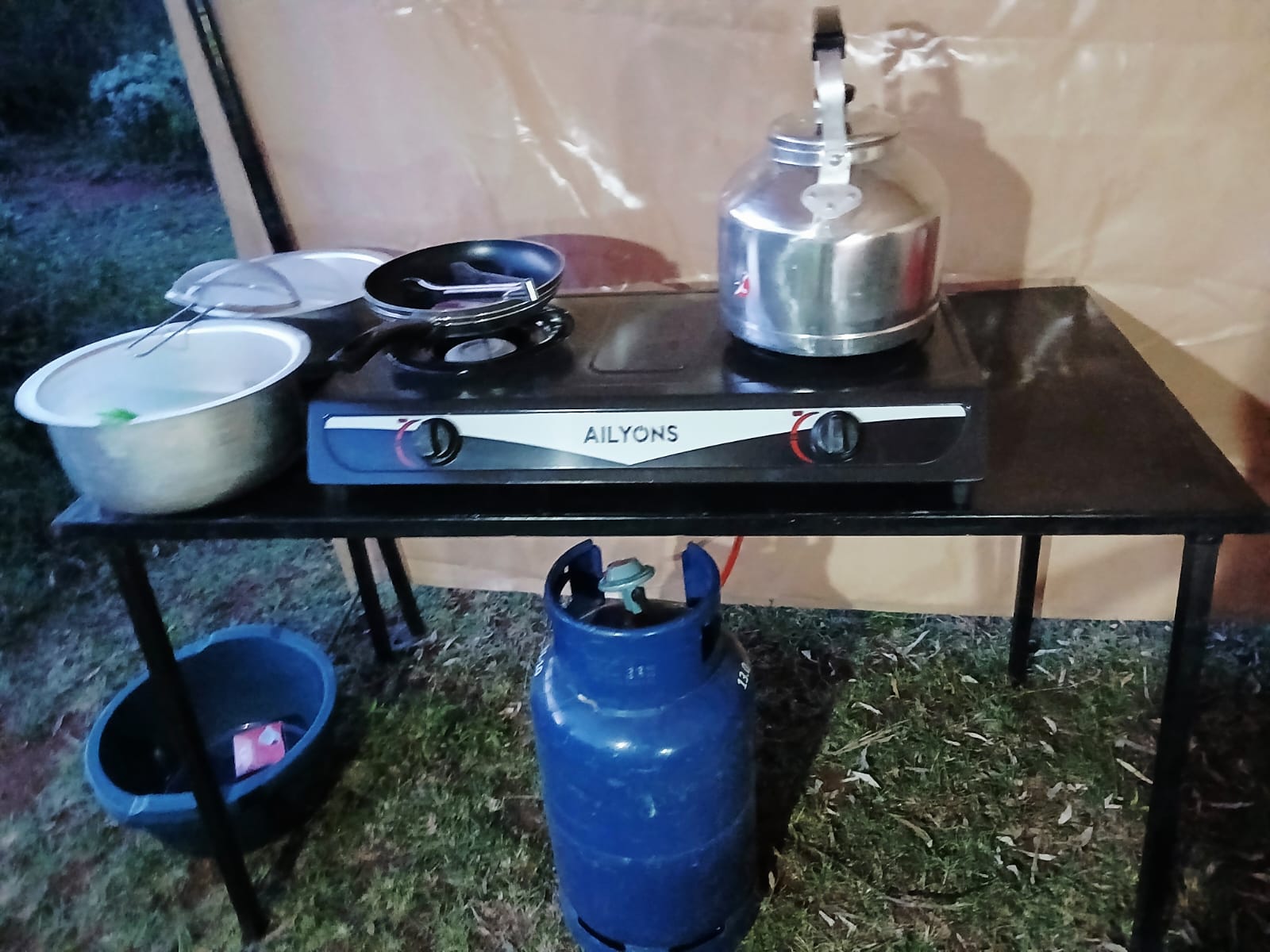 Meet friendly animals right at the campsite!