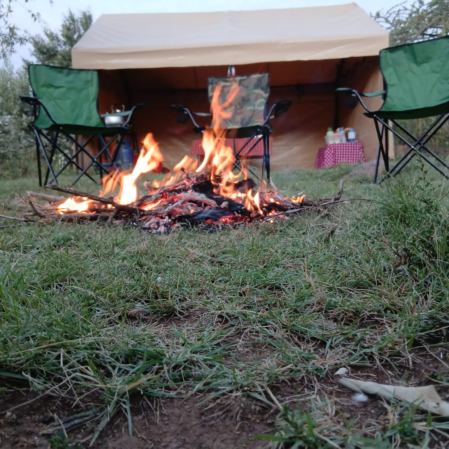 Where the air is clearer and the stars are brighter.